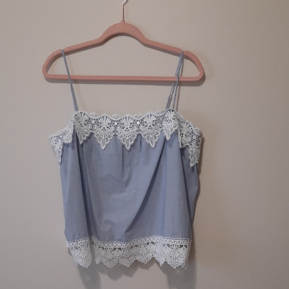 Express Blue Lace Crop Camisole